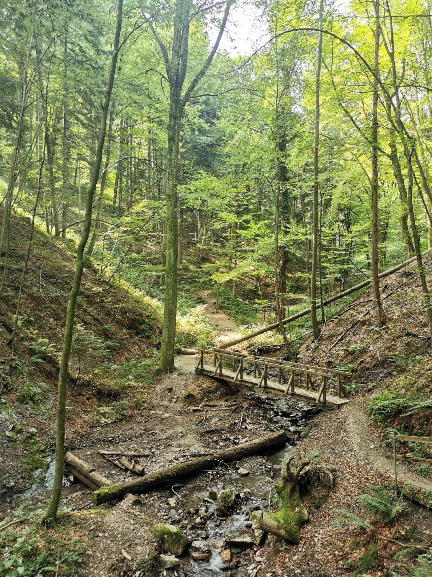 Traumhaftes Ferienhaus Am Lateinberg - 8455 Eibiswald Suedsteiermark Екстер'єр фото