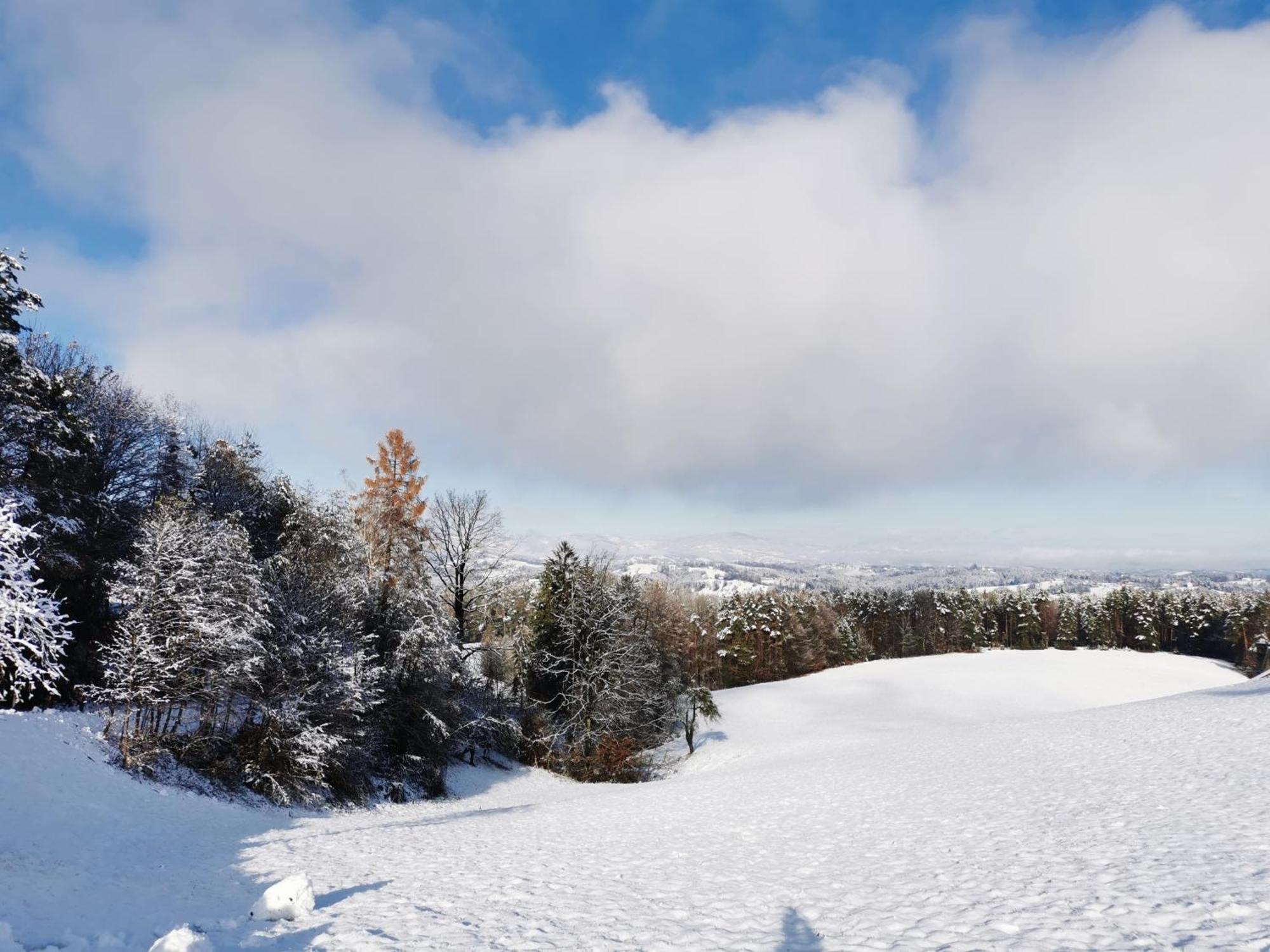 Traumhaftes Ferienhaus Am Lateinberg - 8455 Eibiswald Suedsteiermark Екстер'єр фото