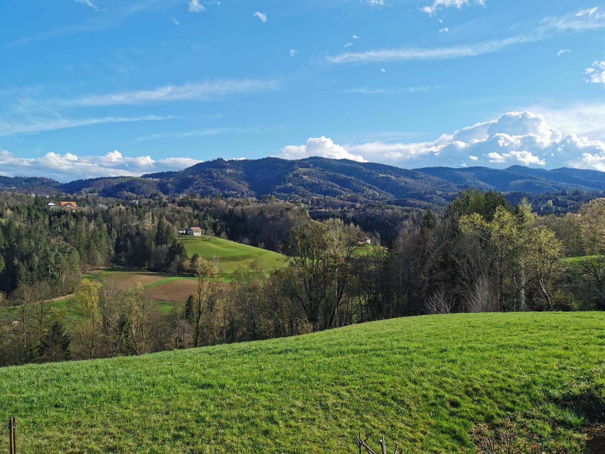 Traumhaftes Ferienhaus Am Lateinberg - 8455 Eibiswald Suedsteiermark Екстер'єр фото